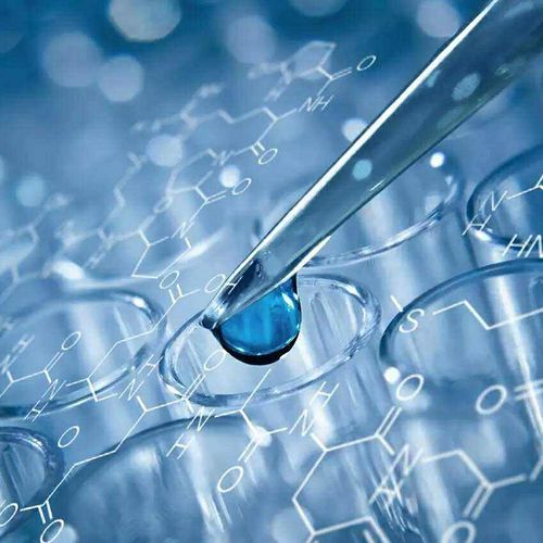 親子鑒定為出國留學(xué)保駕護航 技術(shù)咨詢?nèi)馕? class=