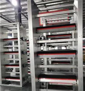 攜手創(chuàng)新，智贏未來(lái) 自動(dòng)化蛋雞養(yǎng)殖設(shè)備技術(shù)咨詢(xún)與生產(chǎn)合作指南